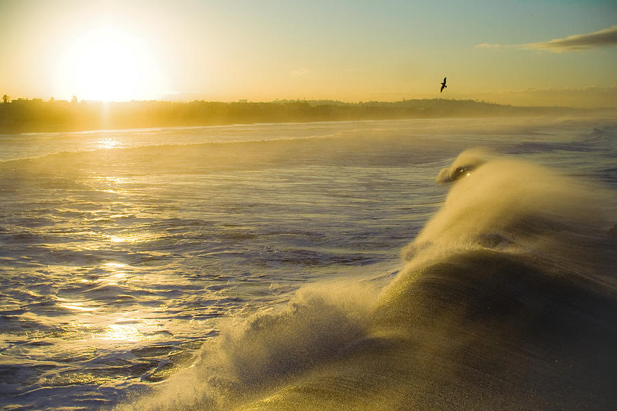 Ocean Sunrise Photograph by Brett White