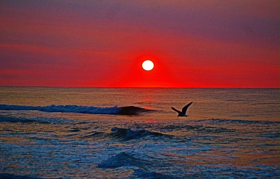 Ocean Sunrise Photograph by Thomas McGuire