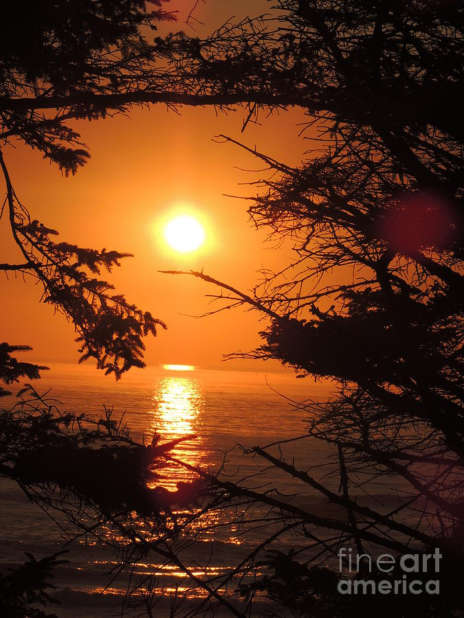 Ocean Sunset Photograph by Julie Rauscher