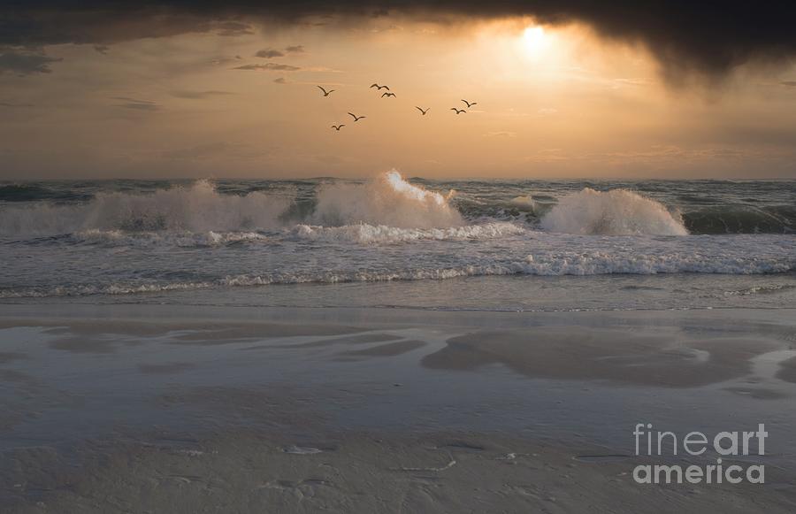 Ocean Sunset Photo 157 Photograph by Lucie Dumas
