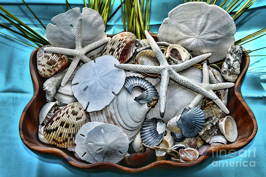 Ocean Treasures in a Basket Photograph by Paul Ward