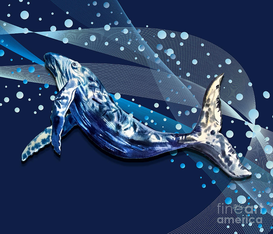 Ocean View Collection Whale 2 Digital Art by Tina Mitchell Ocean View Collection Whale 2 Digital Art by Tina Mitchell