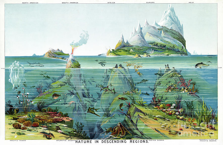 Oceanic Scene, 1893 Drawing by Levi Walter Yaggy