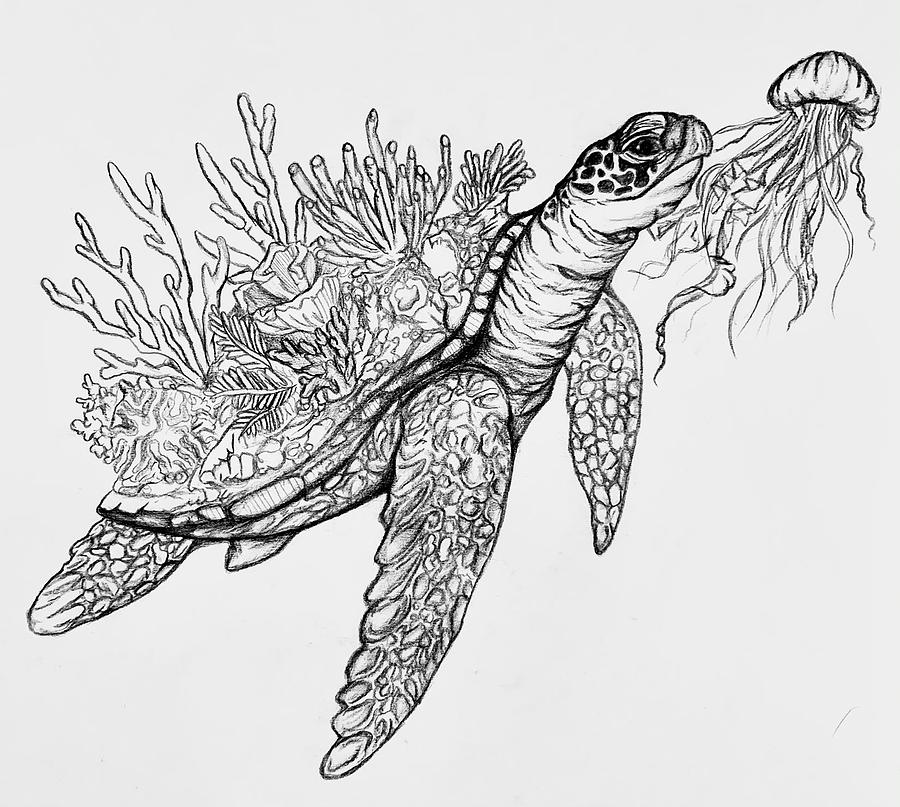 Turtle Drawing - Oceanic Unision by Zuleyka Urieta 11th grade by California Coastal Commission