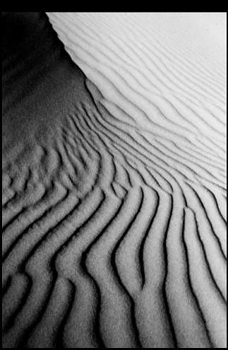 Oceano Dune ridge Photograph by Dr Janine Williams