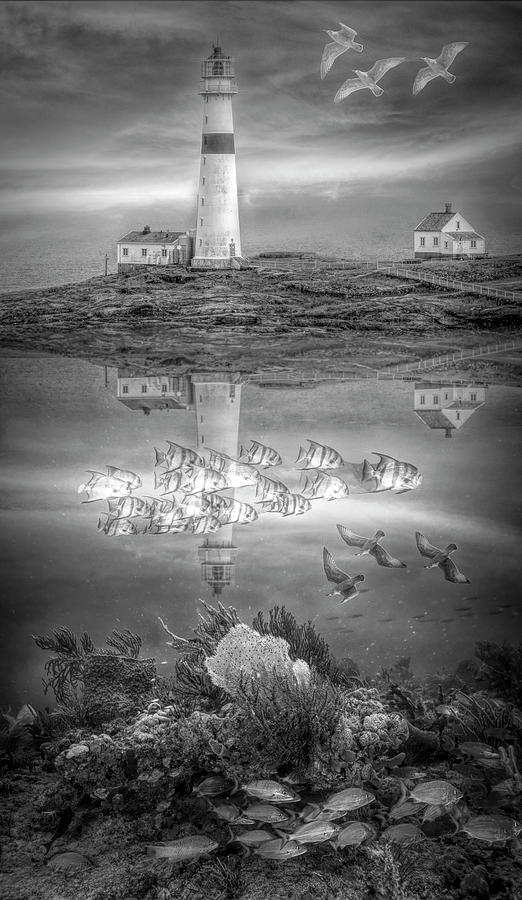 Oceans Jewels Lighthouse and Reef Black and White Photograph by Debra and Dave Vanderlaan