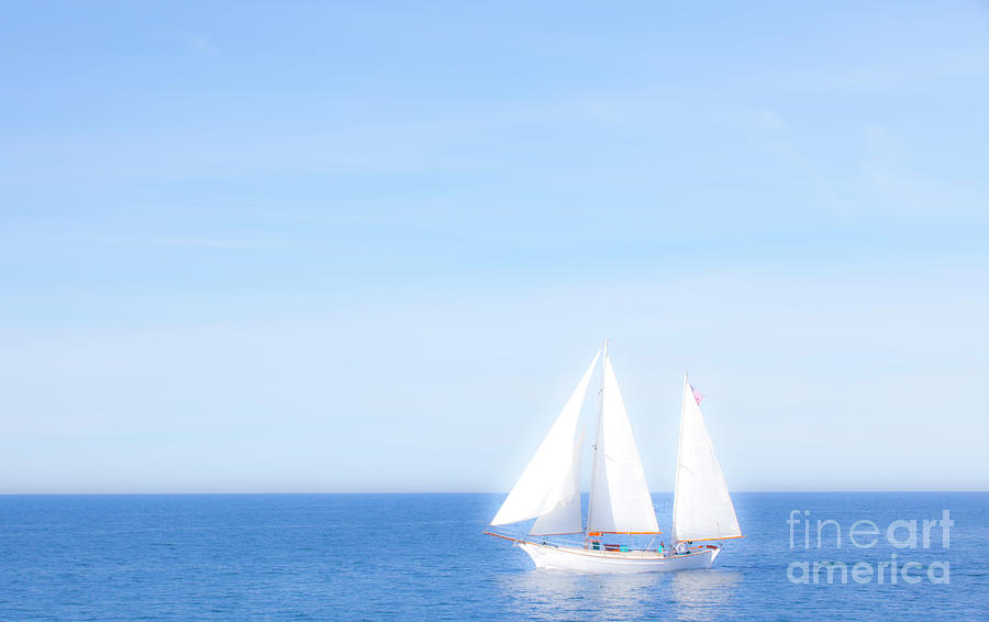 Oceanside Harbor Sail Photograph by Catherine Walters