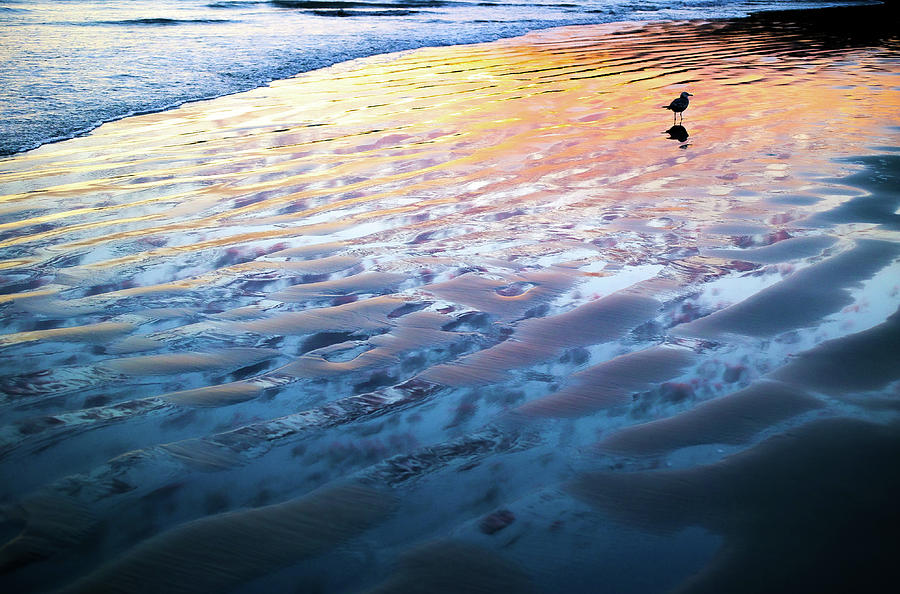 Oceanside Perfection Photograph
