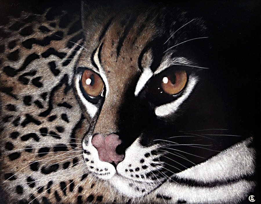 Ocelot Painting by Angie Cockle