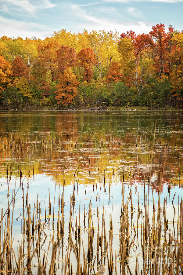 Ochre Pond Photograph by Becqi Sherman