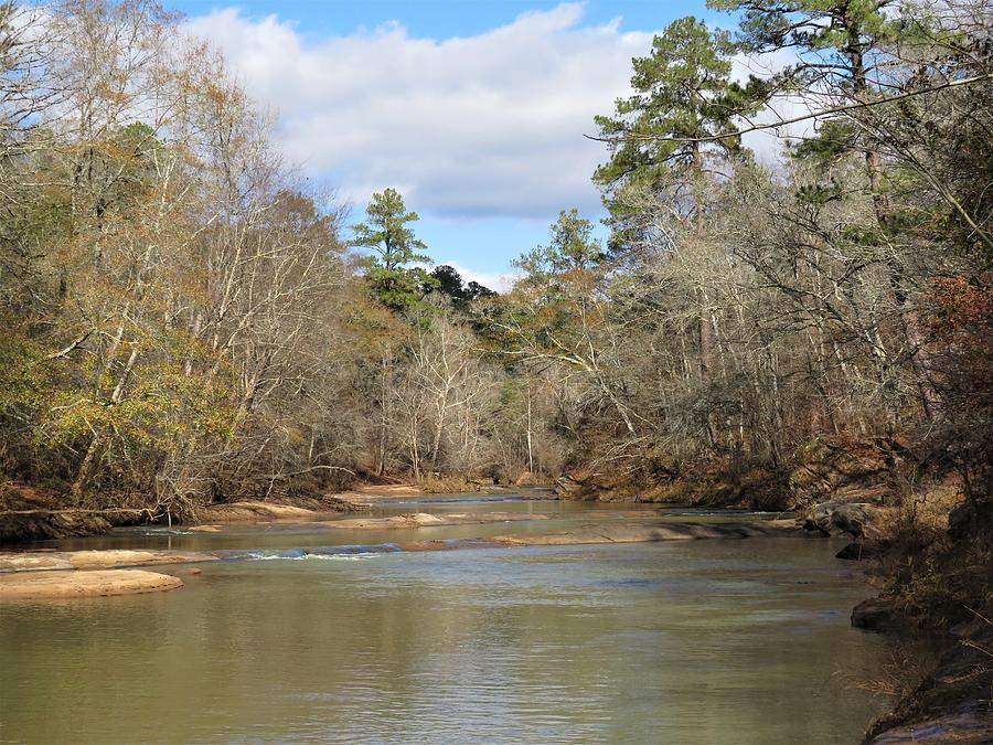 Ocmulgee River Bars Photograph by Ed Williams