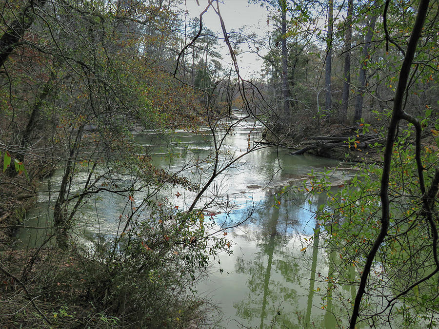 Ocmulgee River Blue Spot Photograph by Ed Williams