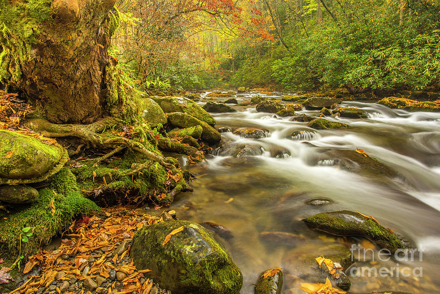 Oconaluftee River in Great Smoky Mountains National Park Photograph by ...