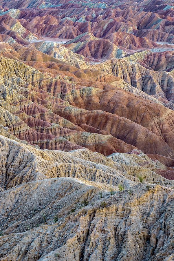 Ocotillos and Ridges Photograph by Alexander Kunz
