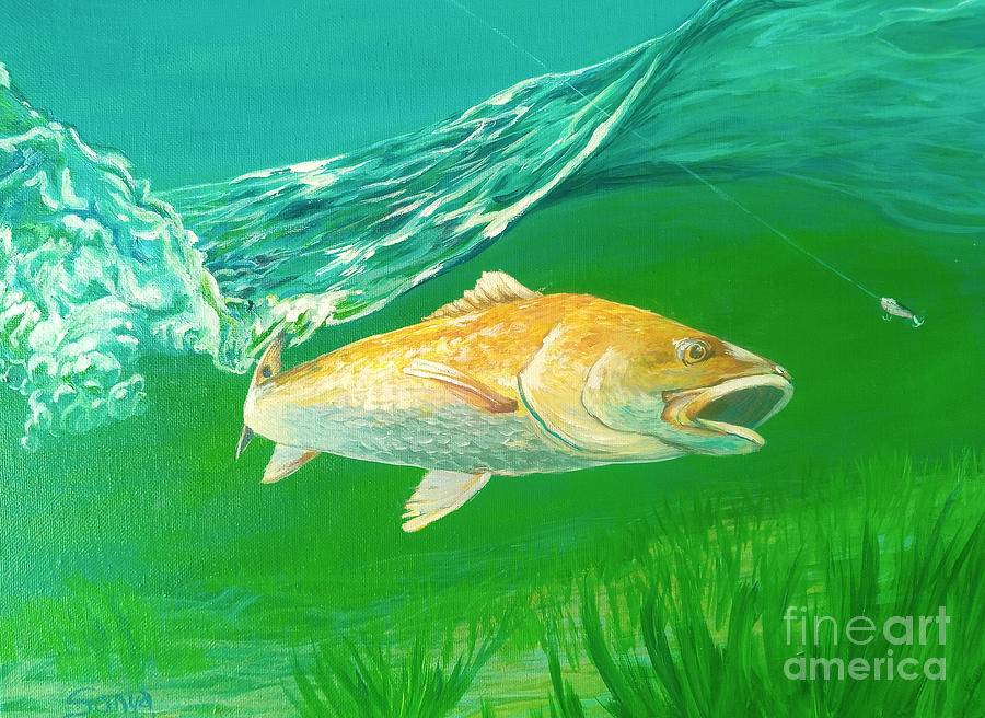 Ocracoke Red Drum with Lure #1  Painting by Sonya Allen