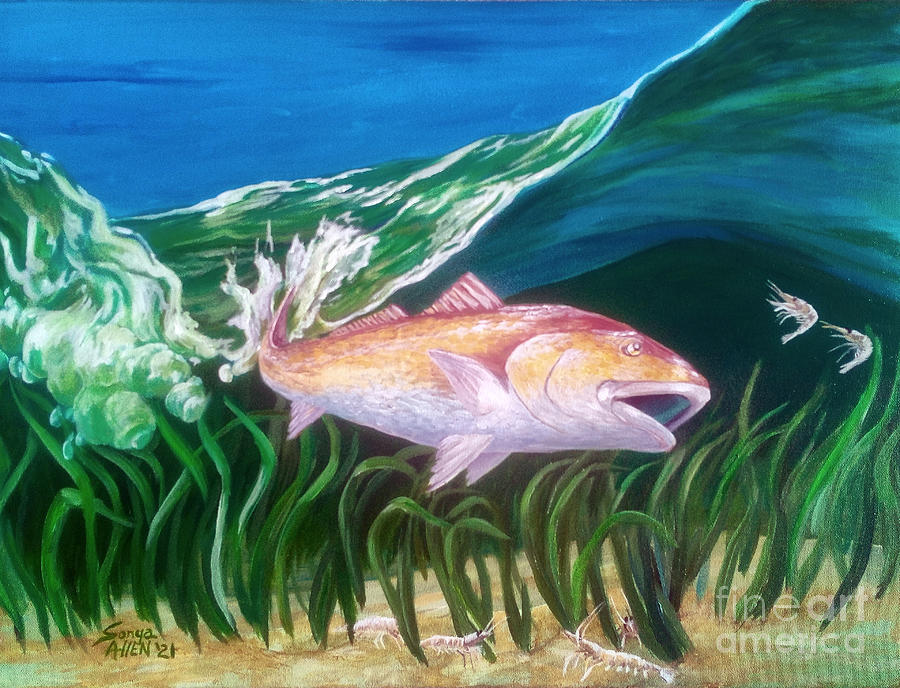 Ocracoke Red Drum with Shrimp by Sonya Allen Painting by Sonya Allen