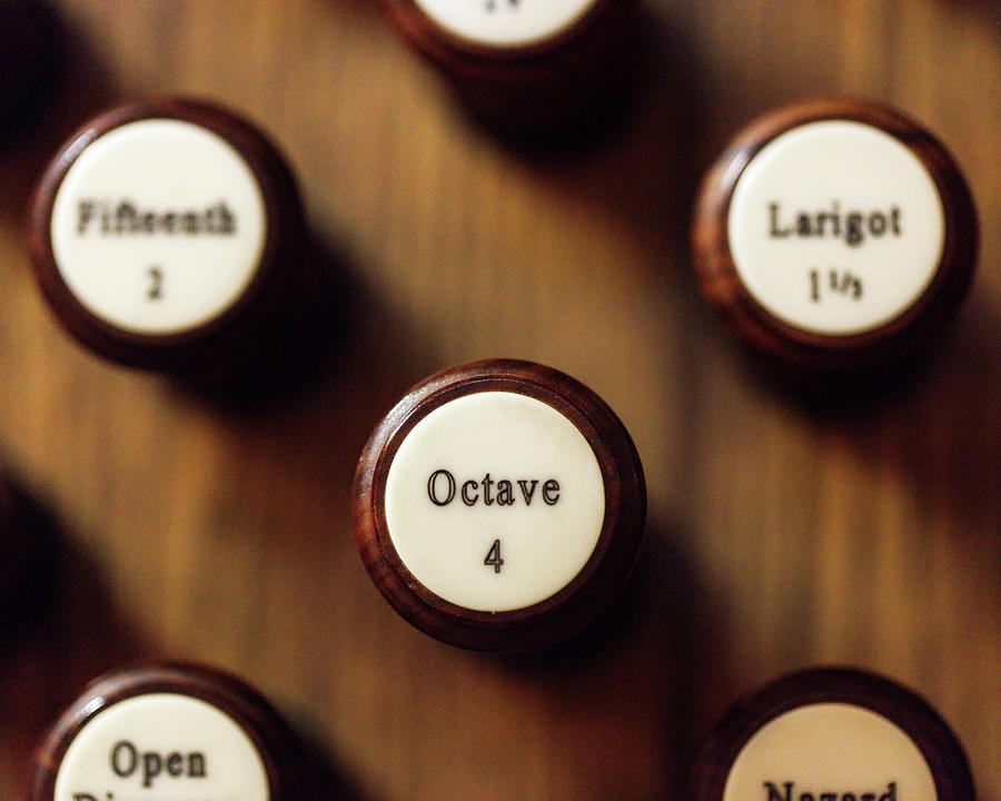 Octave 4 Photograph by Murray Rudd