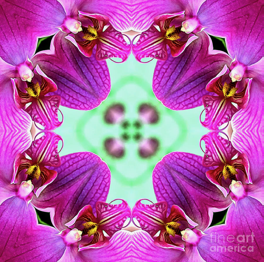Octet of Orchid Petals Photograph by Sea Change Vibes