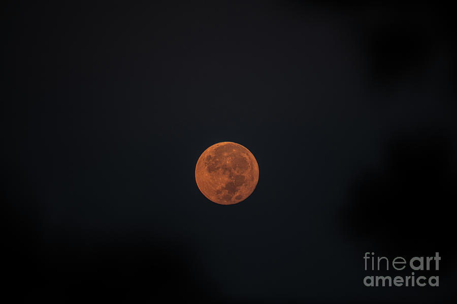 October 2020 - Harvest Moon - 605am Photograph