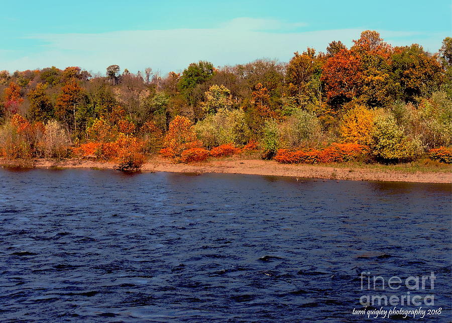 October Along The Delaware Photograph