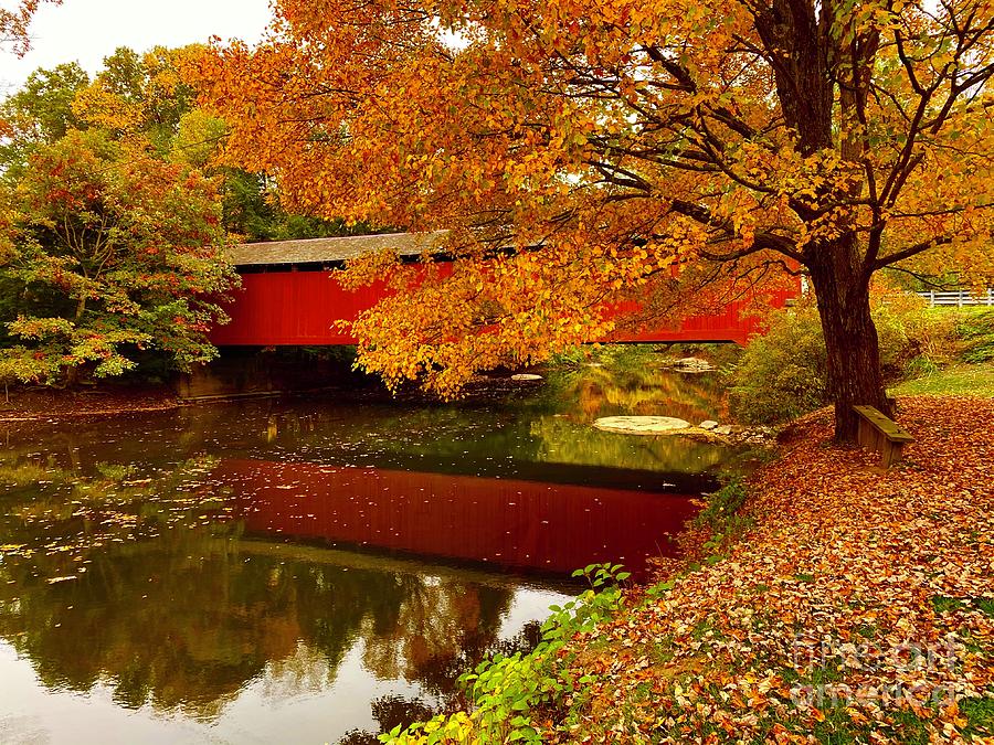 Leaves Falling On A Red Covered Bridge Photograph by Jeffrey Koss