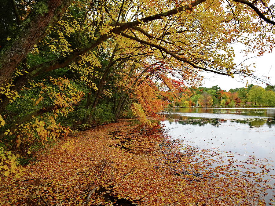October Day at Reservoir, Needham, MA Photograph by Lyuba Filatova