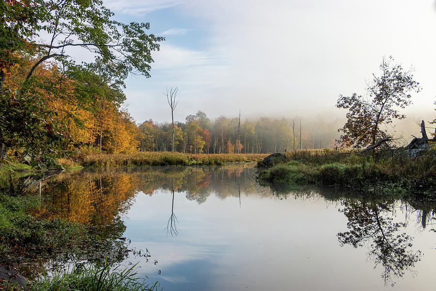 October Fog Along Black Creek III Photograph by Jeff Severson