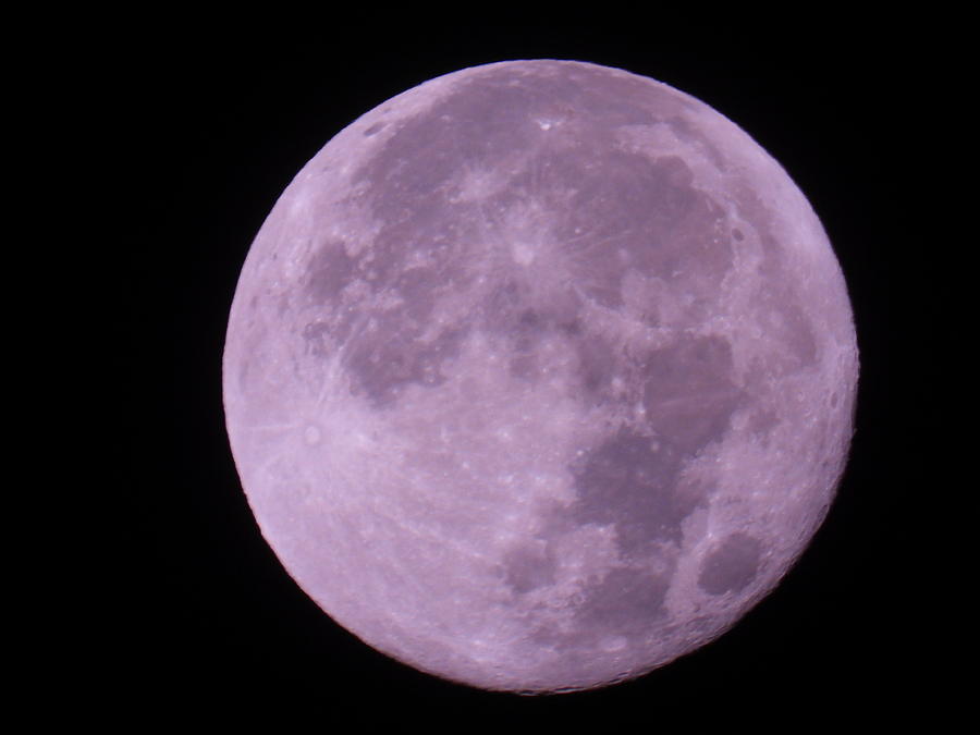 October Full Moon Photograph by Amanda R Wright