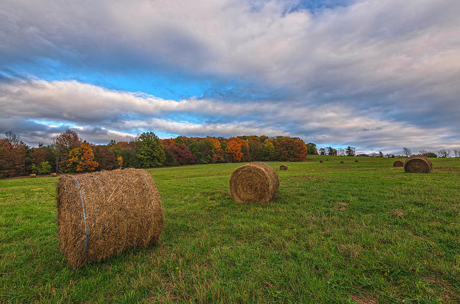 October Hay Bales Photograph by Angelo Marcialis