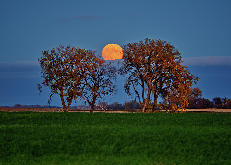 October Hunters Moon rises above cloud bank in rural ND #1 of 2 Photograph by Peter Herman