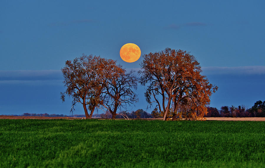 October Hunters Moon rises above cloud bank in rural ND #2 of 2 Photograph by Peter Herman