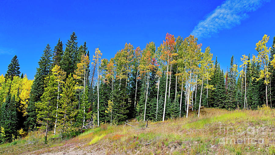 October in Colorful Colorado Photograph by Jon Burch Photography