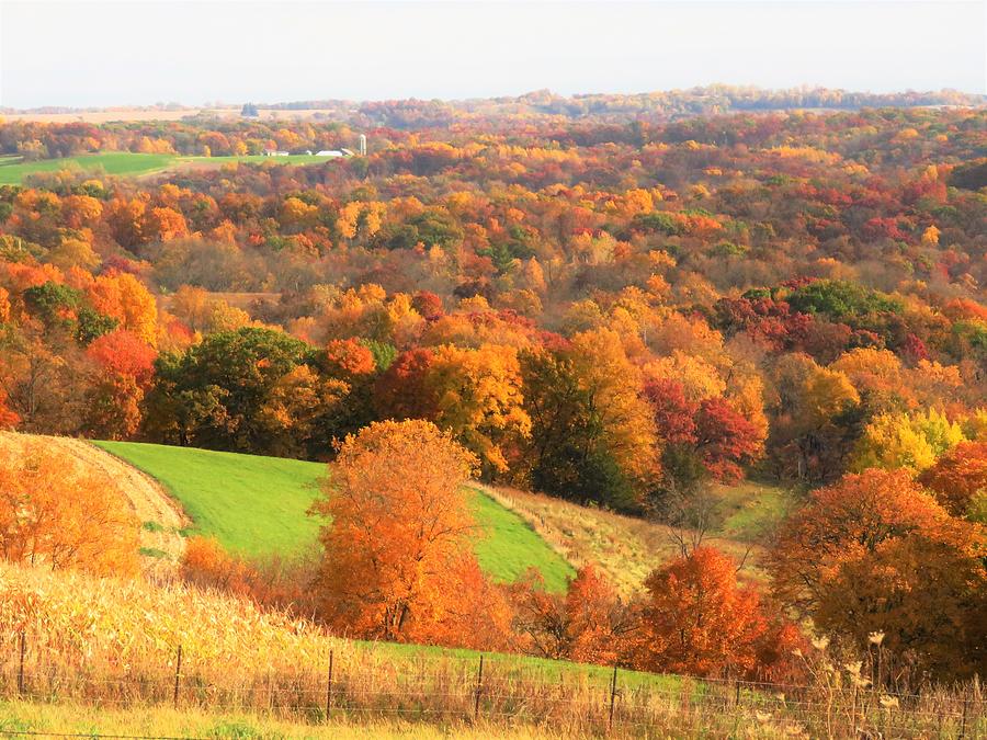 Autumn in Northeast Iowa  Photograph by Lori Frisch