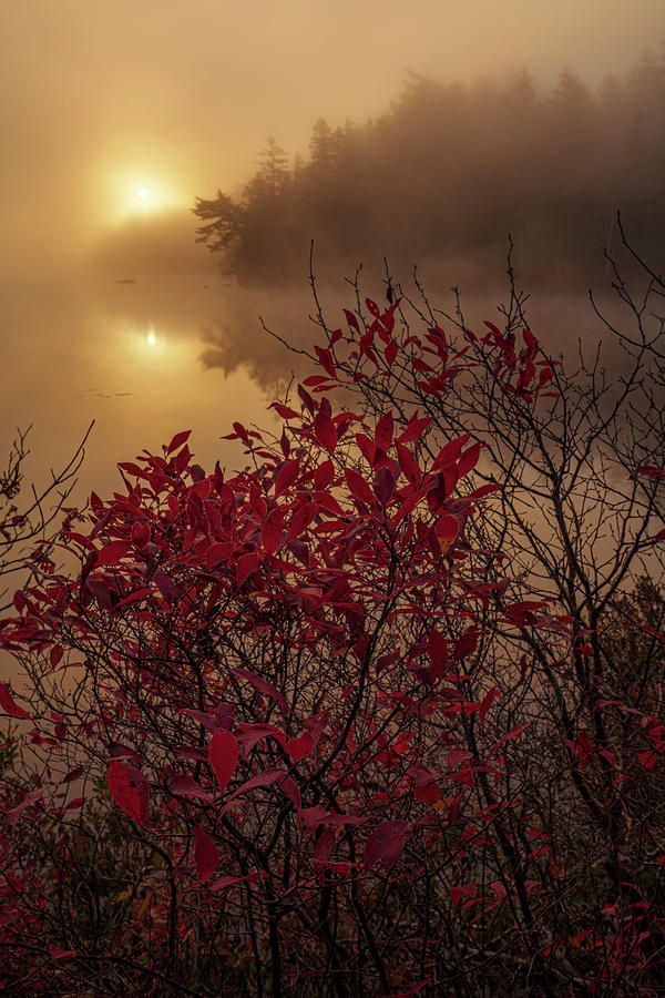 October Morning At Cox Lake Photograph by Irwin Barrett