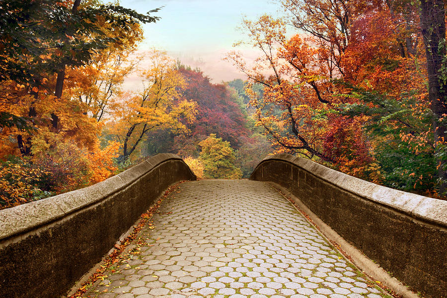 October Overpass Photograph by Jessica Jenney