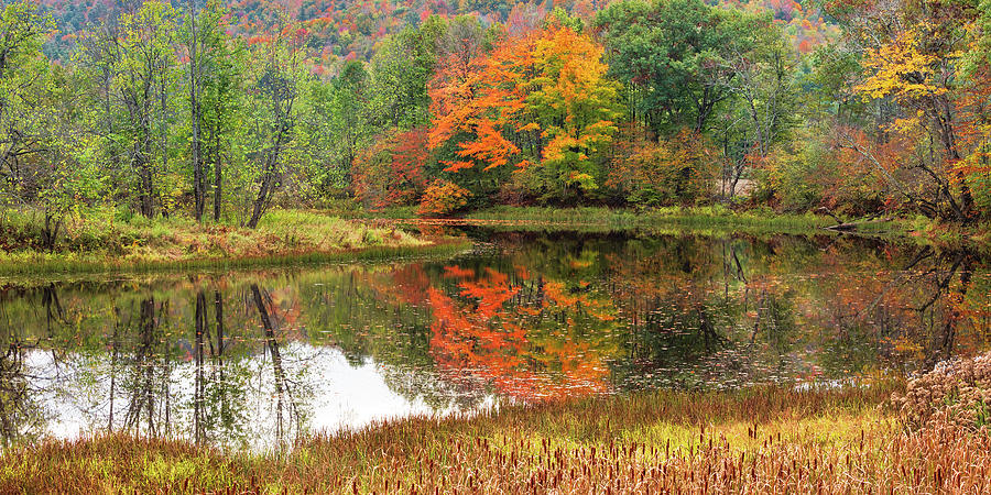 October Pond Panorama Photograph by Alan L Graham