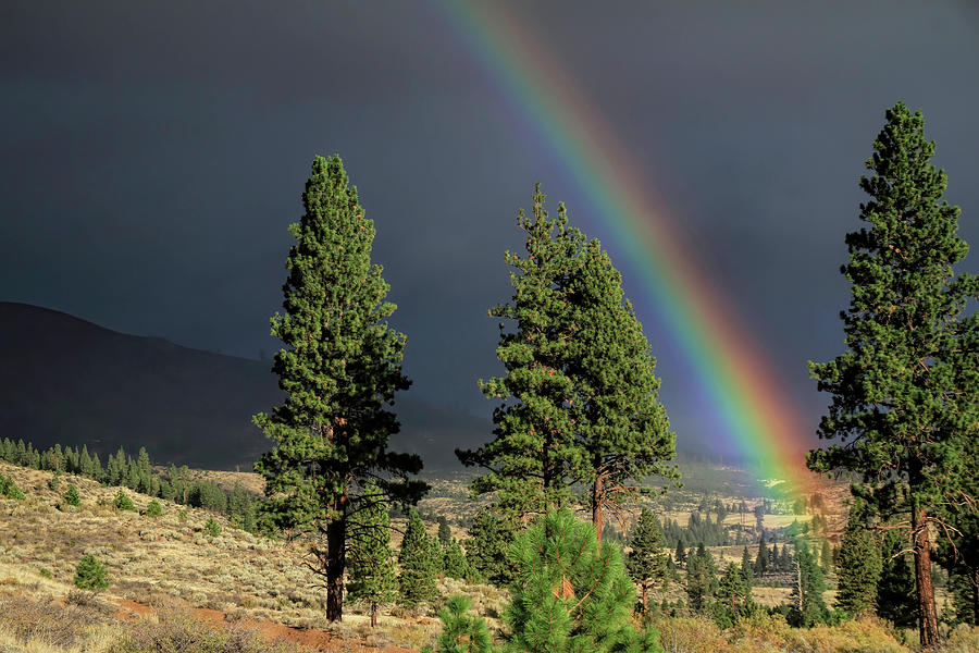 October Rainbow Photograph by Donna Kennedy