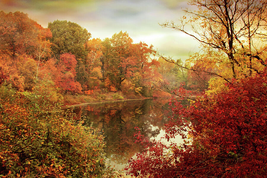 October Reflections Photograph by Jessica Jenney