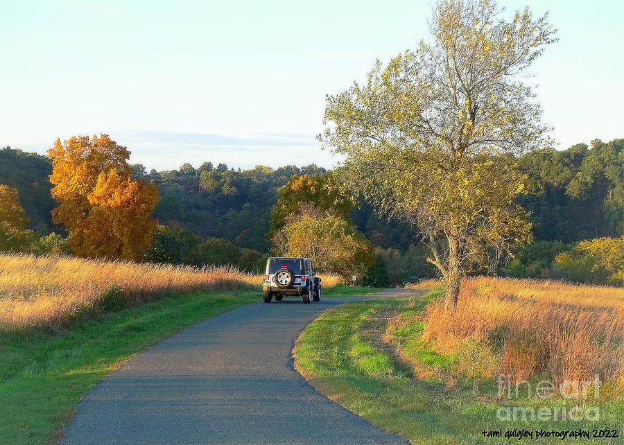 October Road Photograph by Tami Quigley