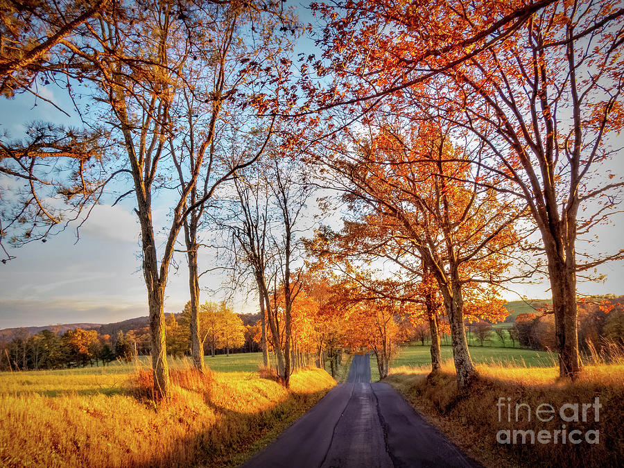 October Road Photograph by Viv Thompson - Fine Art America