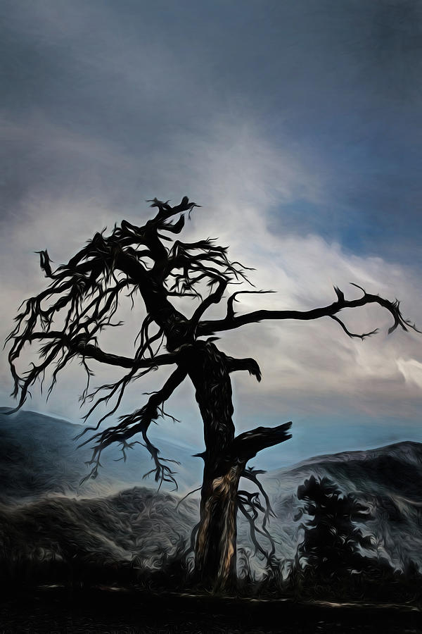 October Scary Tree Photograph by John Haldane