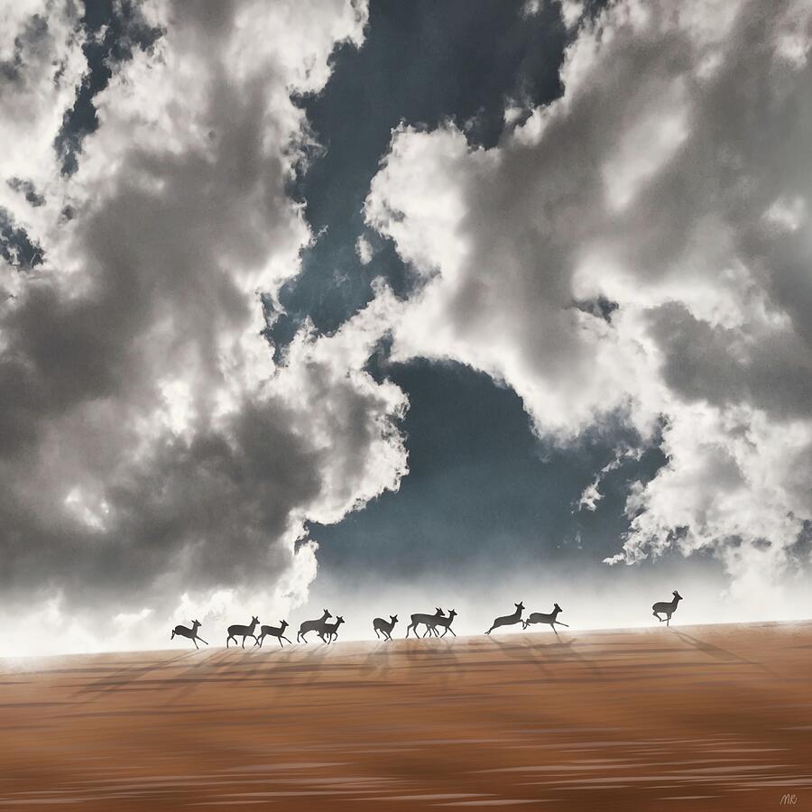 Roe Deer Digital Art - October sky by Moira Risen