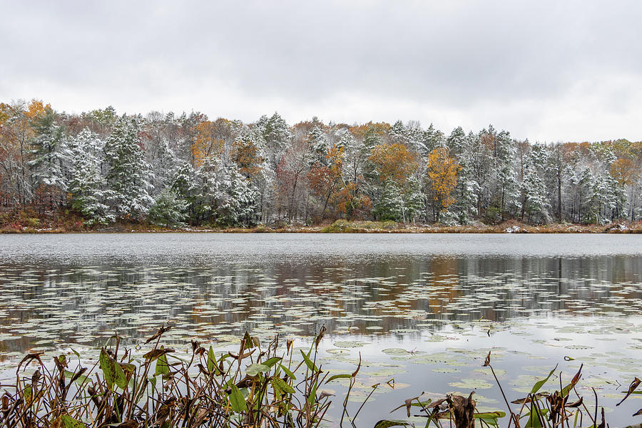 October Snow at Louisa Pond Photograph by Jeff Severson