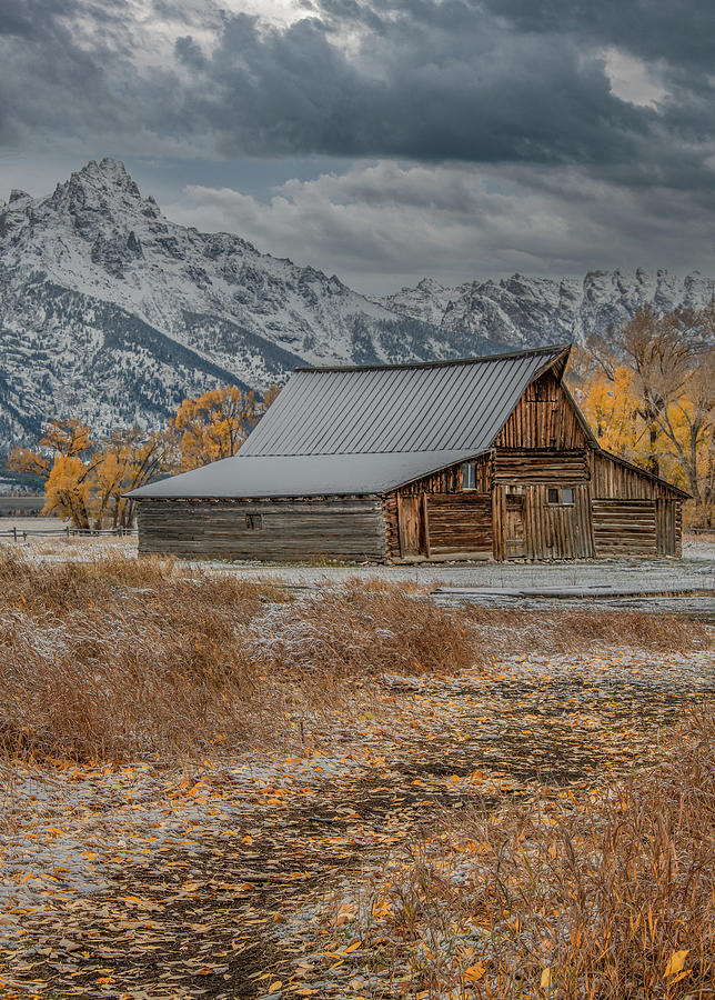 October Snow Surprise at Moulton Barn, Grand Teton National Park Photograph by Marcy Wielfaert