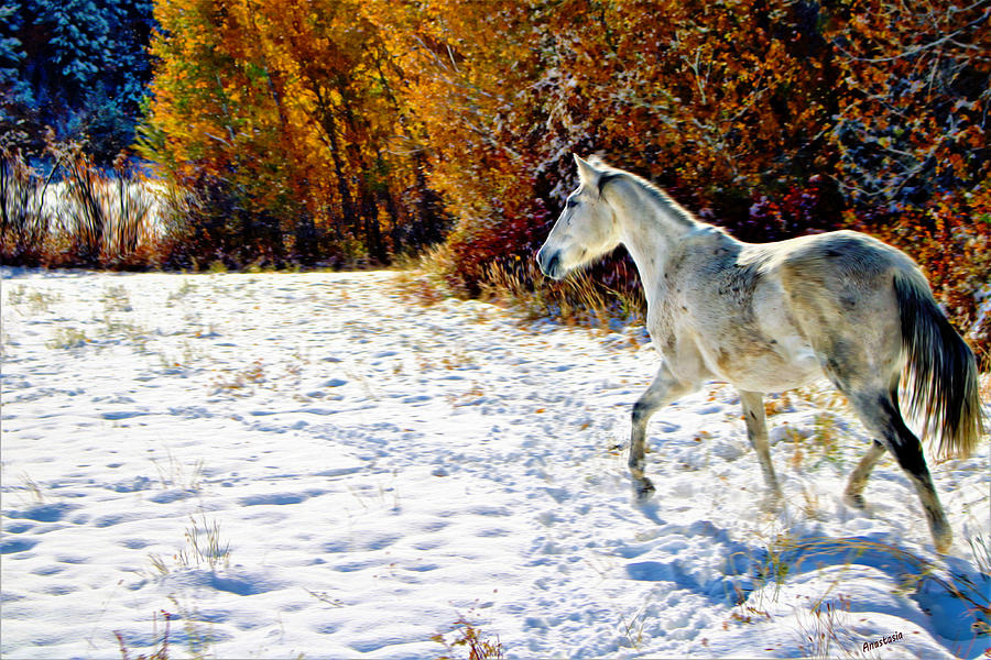 October Snow Trot Mixed Media by Anastasia Savage Ealy