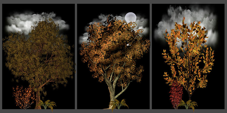 October Trees in Three Panels Digital Art by David Dehner