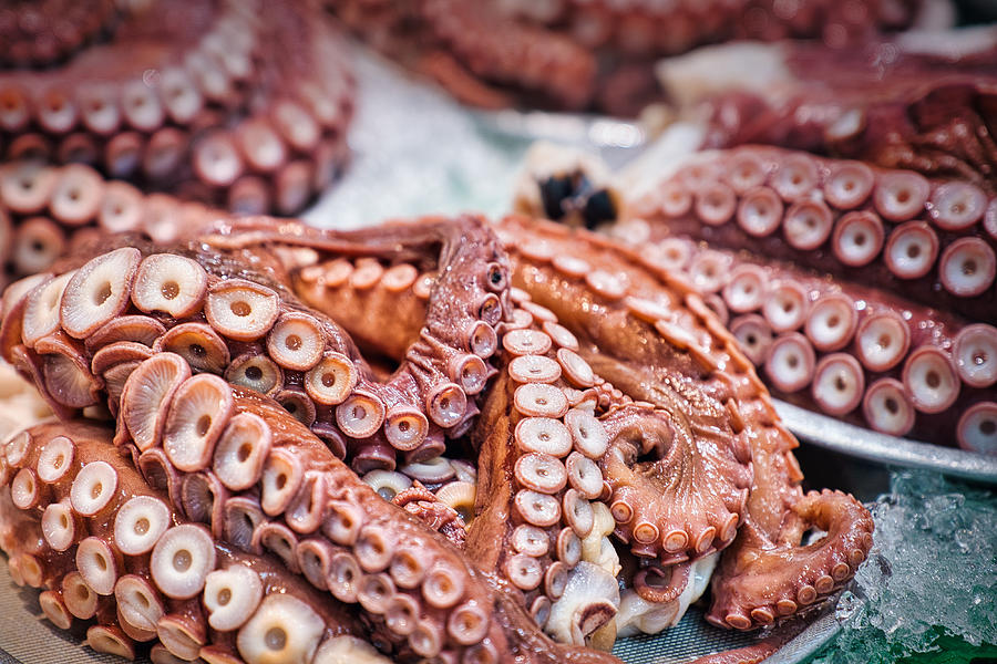 Octopus at the Fish Market - Japan Photograph by Stuart Litoff