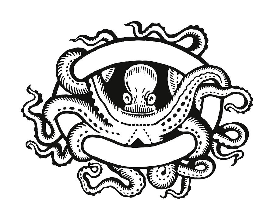 Octopus Entwined in a Banner Drawing by CSA-Archive