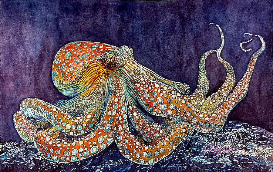 Octopus Painting by Grant Nixon