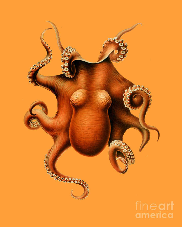 Octopus Digital Art - Octopus In Orange by Madame Memento
